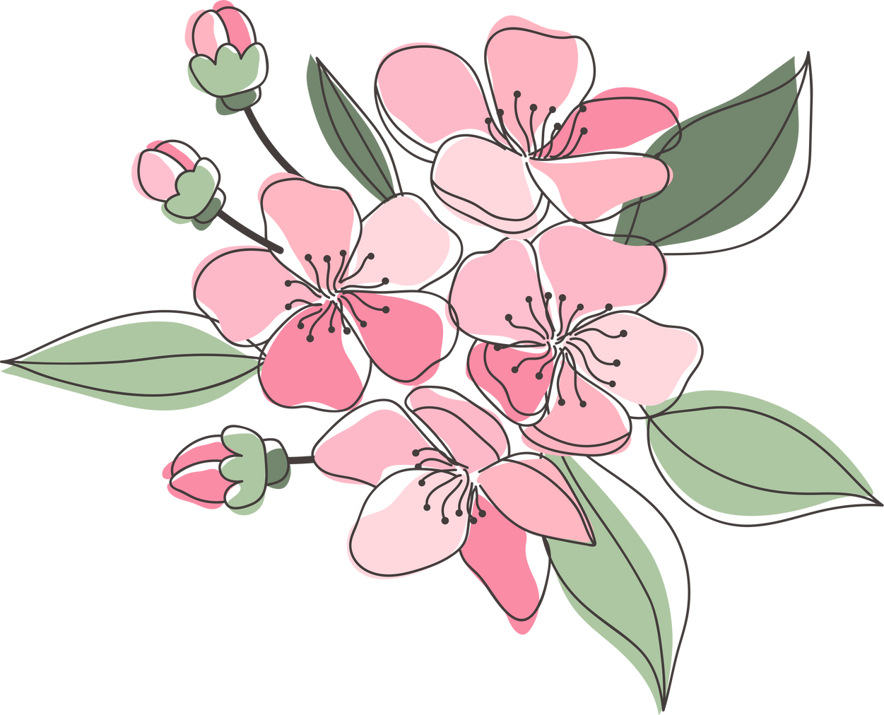 Sakura Flowers with Leaves
